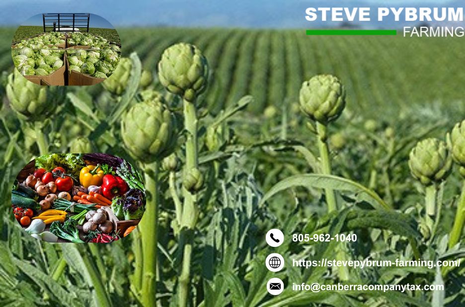 Trusted Farm Accounting Guidance in Santa Barbara Trusted Farm Accounting Guidance in Santa Barbara