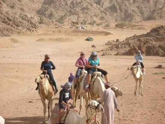 Experience a personalised Cairo day trip with expert guides Experience a personalised Cairo day trip with expert guides