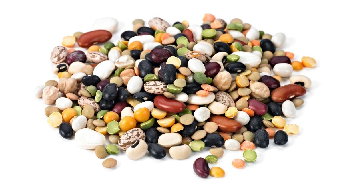 Wholesale Red Lentils: Buy‑in Bulk with Confidence Wholesale Red Lentils: Buy‑in Bulk with Confidence