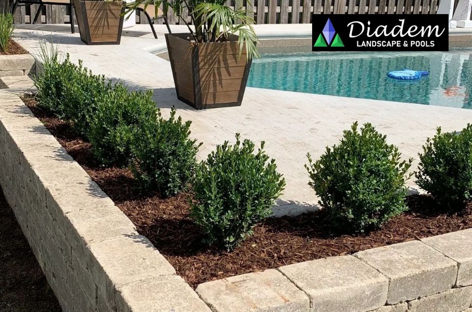 Professional Landscape Design in Cambridge ON: A Practical Guide