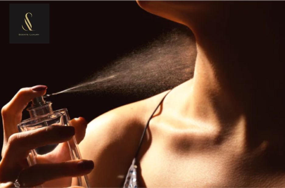 Find Your Next Signature Scent: Online Cologne Shopping Guide Find Your Next Signature Scent: Online Cologne Shopping Guide