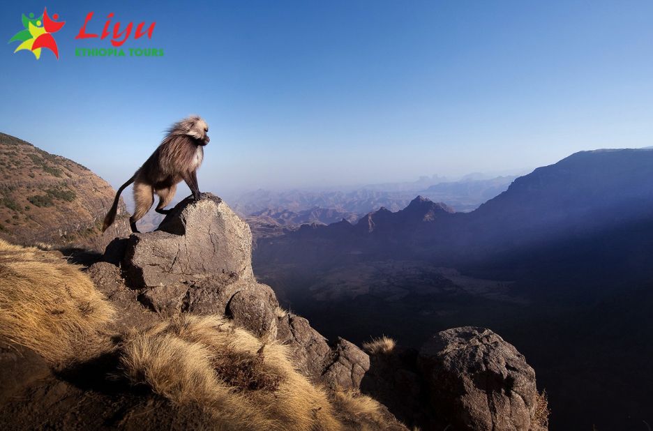 Explore Ethiopia’s Stunning Sights: A Traveler’s Guide Explore Ethiopia’s Stunning Sights: A Traveler’s Guide
