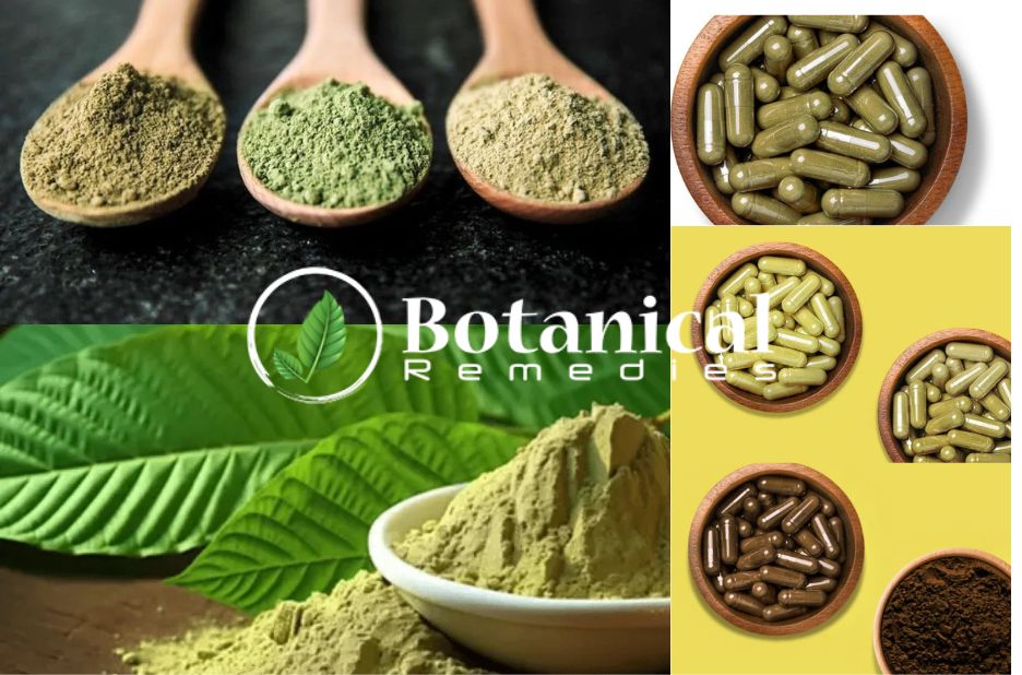 A Practical Guide to Selecting Kratom Powder for Safe Use A Practical Guide to Selecting Kratom Powder for Safe Use