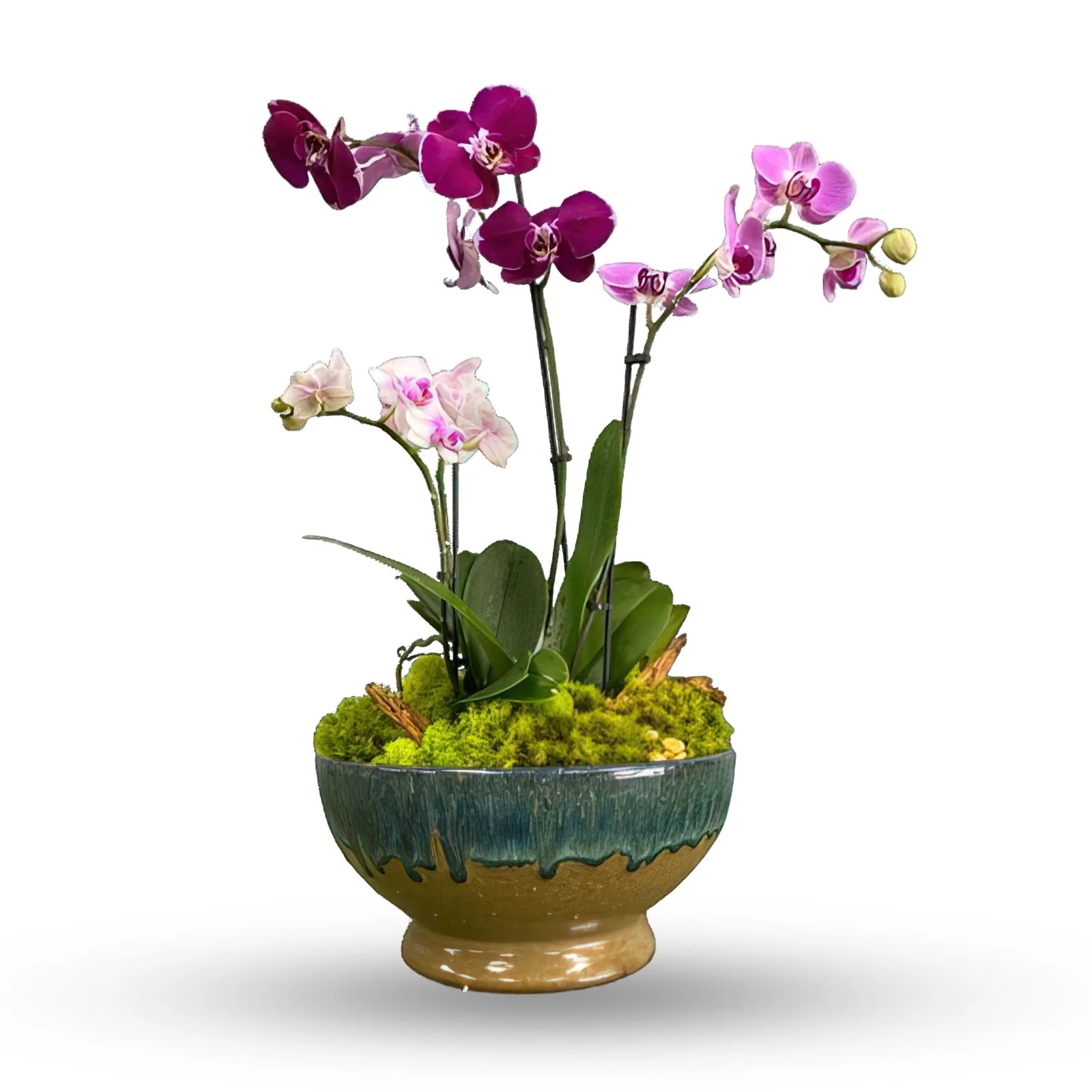 A Practical Guide to Local Florists Near Sandy Spring and Roswell A Practical Guide to Local Florists Near Sandy Spring and Roswell