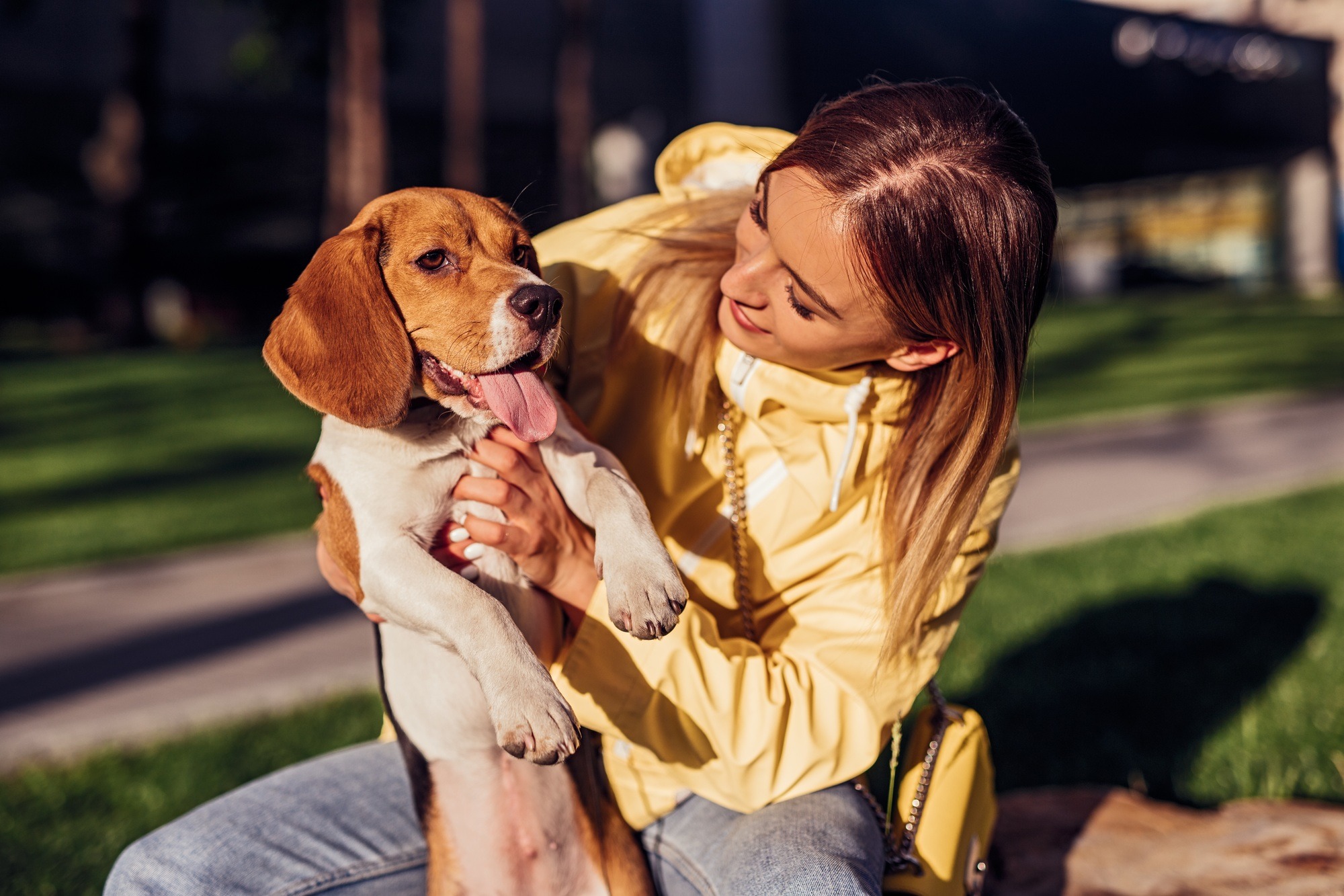 Compassionate end-of-life care for your pet nearby Compassionate end-of-life care for your pet nearby