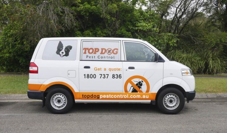 Reliable Pest Control Services for Helensvale and Coomera Reliable Pest Control Services for Helensvale and Coomera