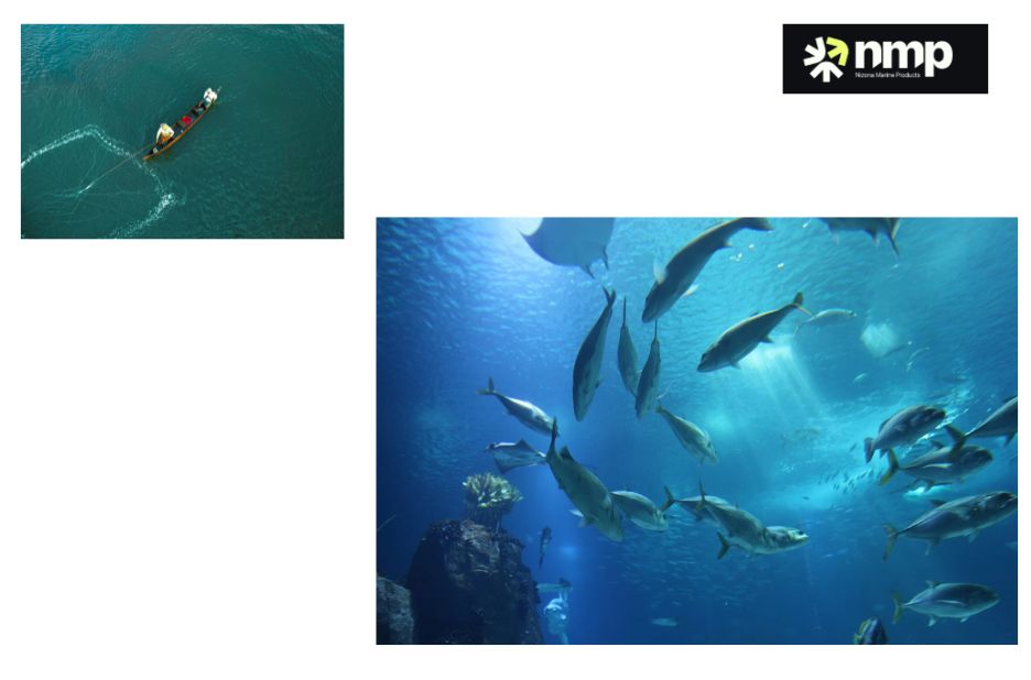 Trustworthy marine collagen: quality, traceability and clean sourcing Trustworthy marine collagen: quality, traceability and clean sourcing