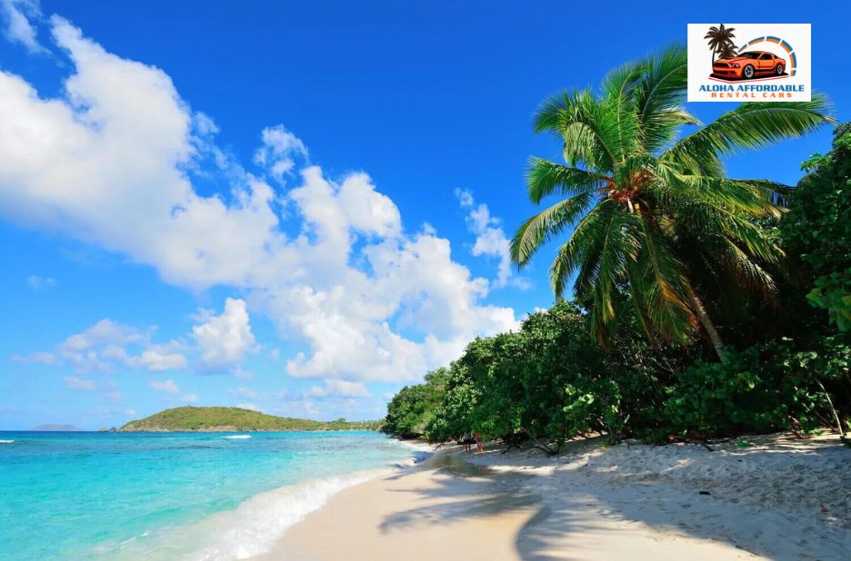 Explore Hawaii on Wheels: A Practical Car Hire Guide Explore Hawaii on Wheels: A Practical Car Hire Guide