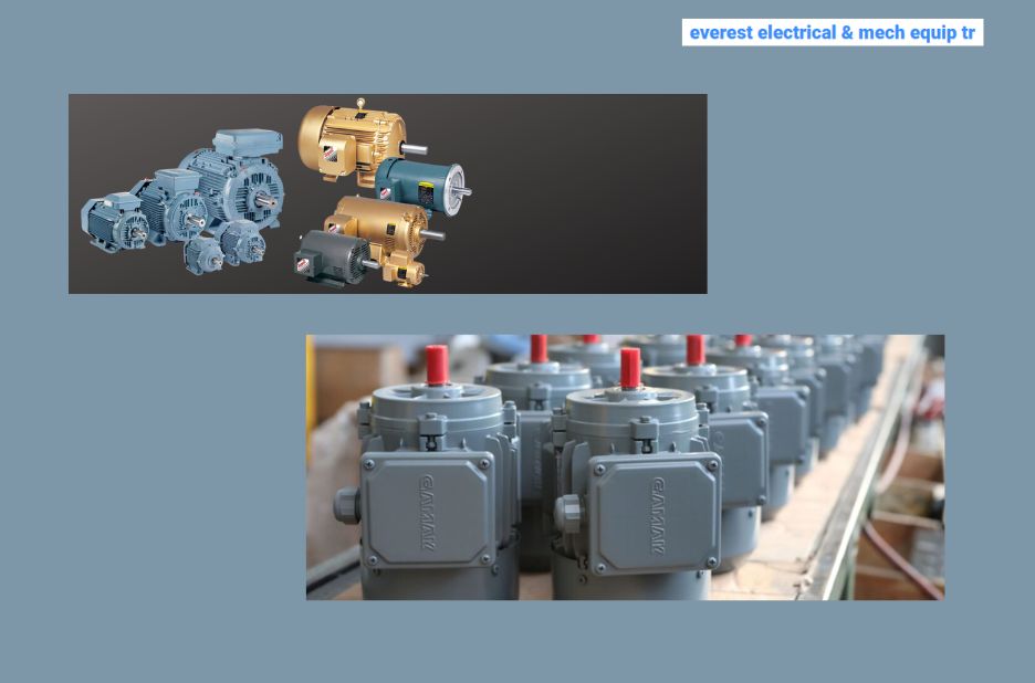 Your trusted partner for industrial motors and drive solutions Your trusted partner for industrial motors and drive solutions