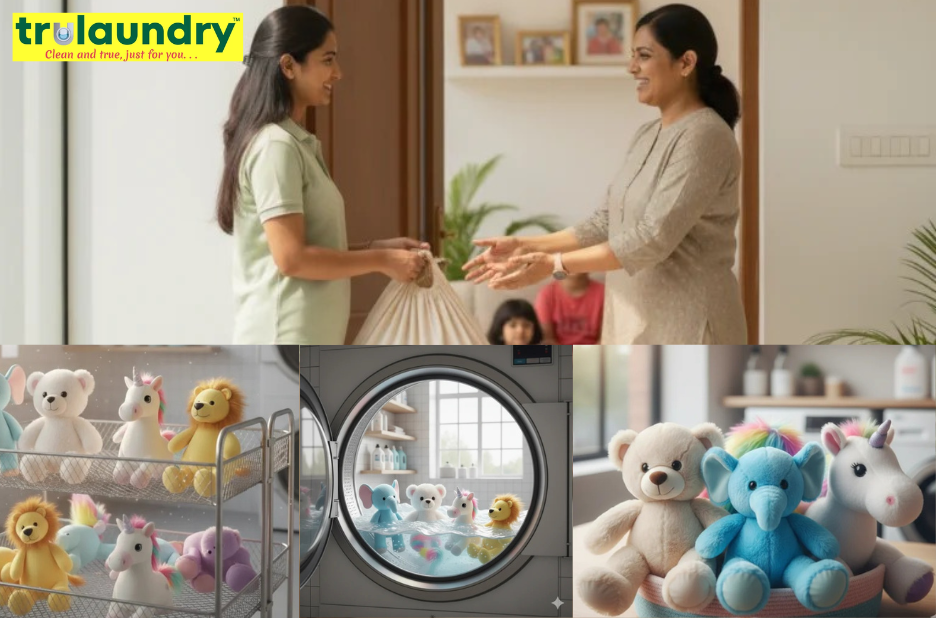 Trusted Cleaning Solutions for Busy Homes in Bangalore Trusted Cleaning Solutions for Busy Homes in Bangalore