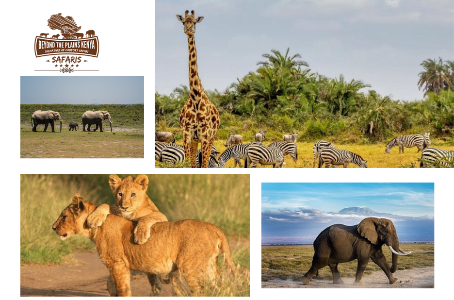 Discover Top East Africa Travel Experts for Your Next Adventure Discover Top East Africa Travel Experts for Your Next Adventure