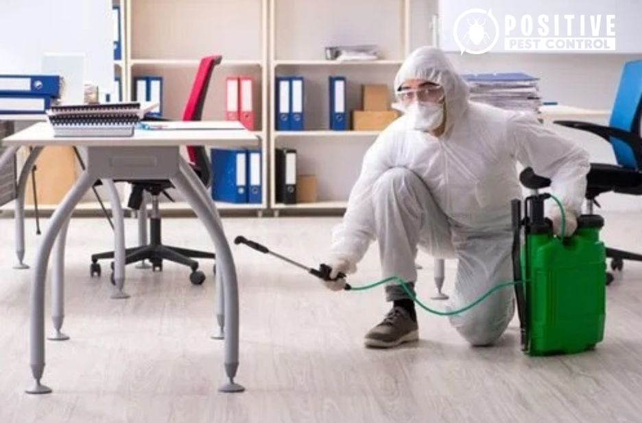 Effective Pest Management for Homes in Calgary Effective Pest Management for Homes in Calgary