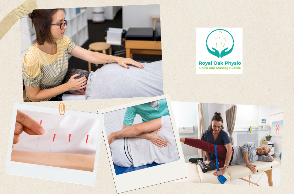 Essential Sports Injury Physiotherapy in Royal Oak Essential Sports Injury Physiotherapy in Royal Oak