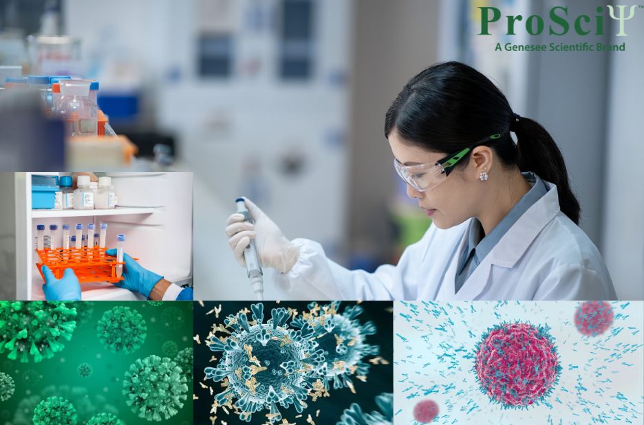Breaking Barriers in Antibody Discovery for Challenging Targets Breaking Barriers in Antibody Discovery for Challenging Targets