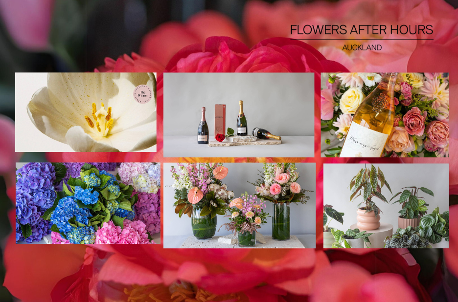 Find the Best Same Day Florist Auckland for Fast, Fresh Flower Delivery ...
