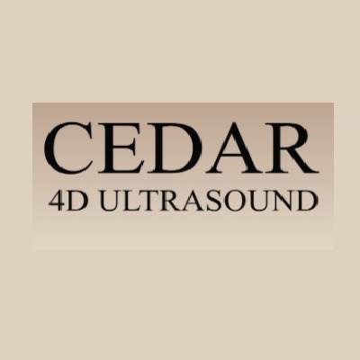 Discovering the Right Ultrasound Options in Perth Discovering the Right Ultrasound Options in Perth