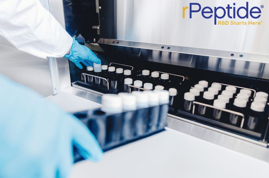Unlocking Insights: Understanding a Key Protein Fragment Unlocking Insights: Understanding a Key Protein Fragment