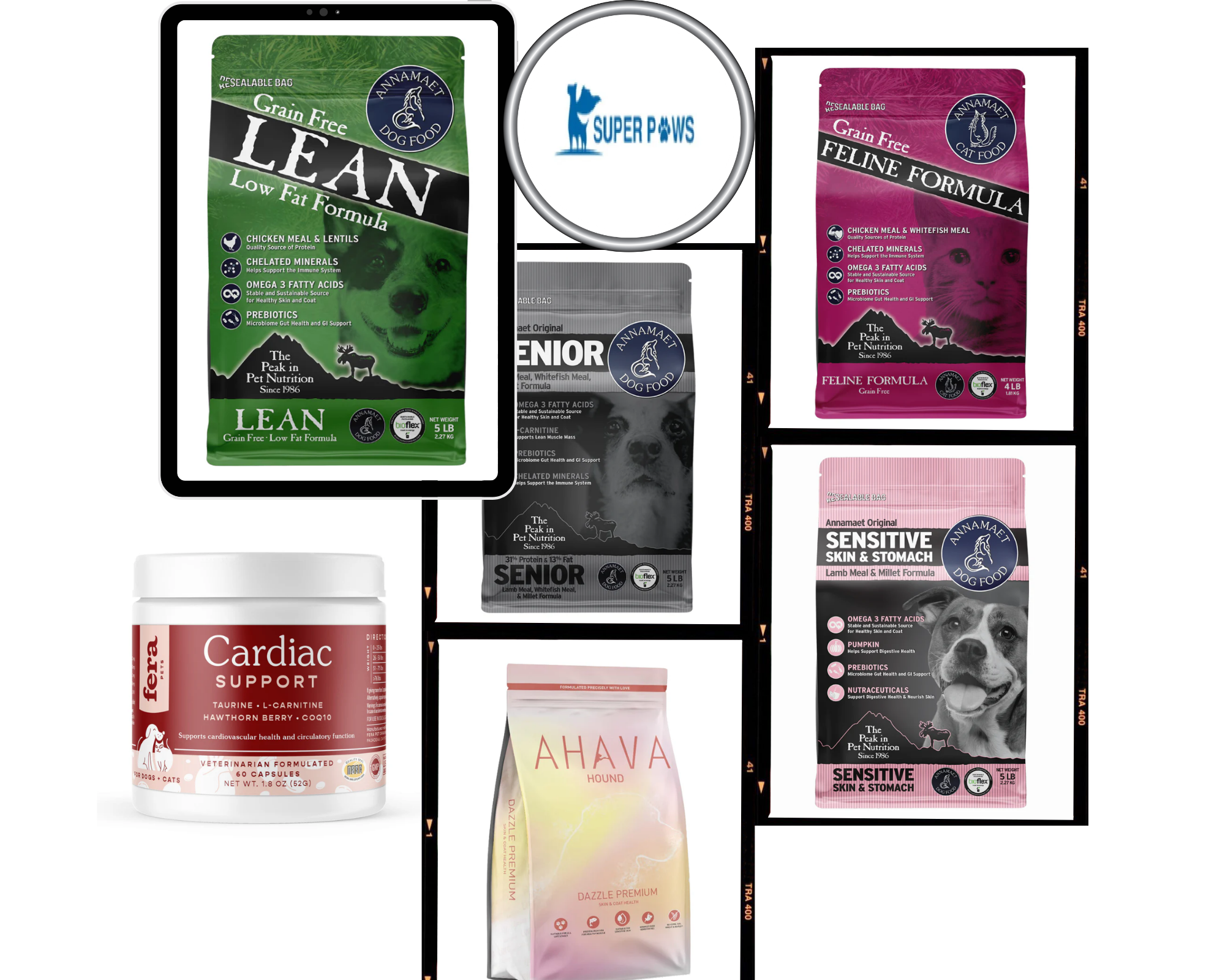 Connecting Talent with Opportunity in Bangalore Connecting Talent with Opportunity in Bangalore