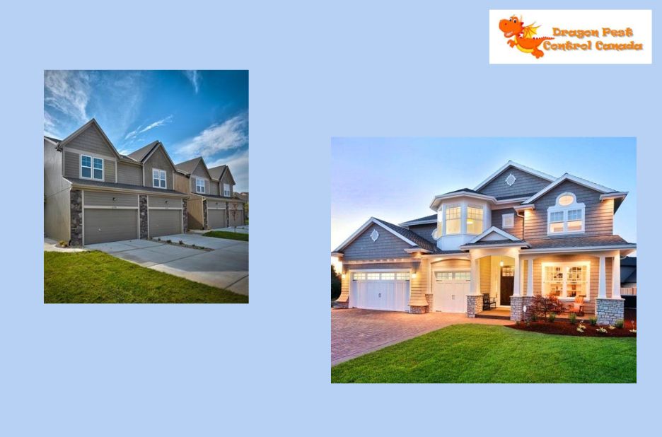 Effective Ant Solutions for Edmonton Homes Effective Ant Solutions for Edmonton Homes