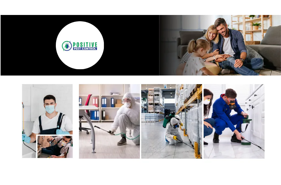 Effective Bed Bug Removal Calgary Services for Safe and Comfortable Homes Effective Bed Bug Removal Calgary Services for Safe and Comfortable Homes