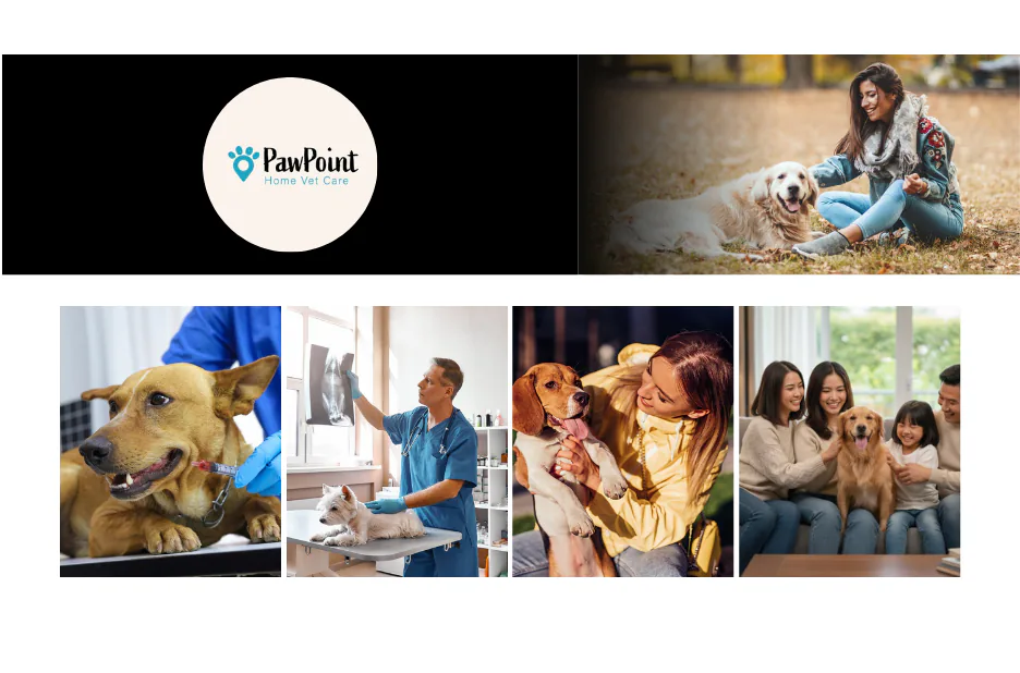 Compassionate Vets To Go Euthanasia Services for At-Home Pet Care Compassionate Vets To Go Euthanasia Services for At-Home Pet Care
