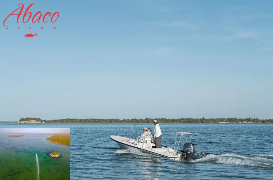 Discover the Best Bonefishing in the Bahamas for Unforgettable Fishing Adventures Discover the Best Bonefishing in the Bahamas for Unforgettable Fishing Adventures