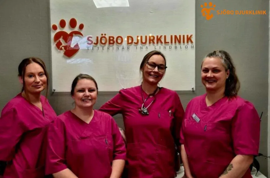 Expert Hund Tandvård i Skurup – Professionell Vård för Din Fyrbenta Vän Expert Hund Tandvård i Skurup – Professionell Vård för Din Fyrbenta Vän