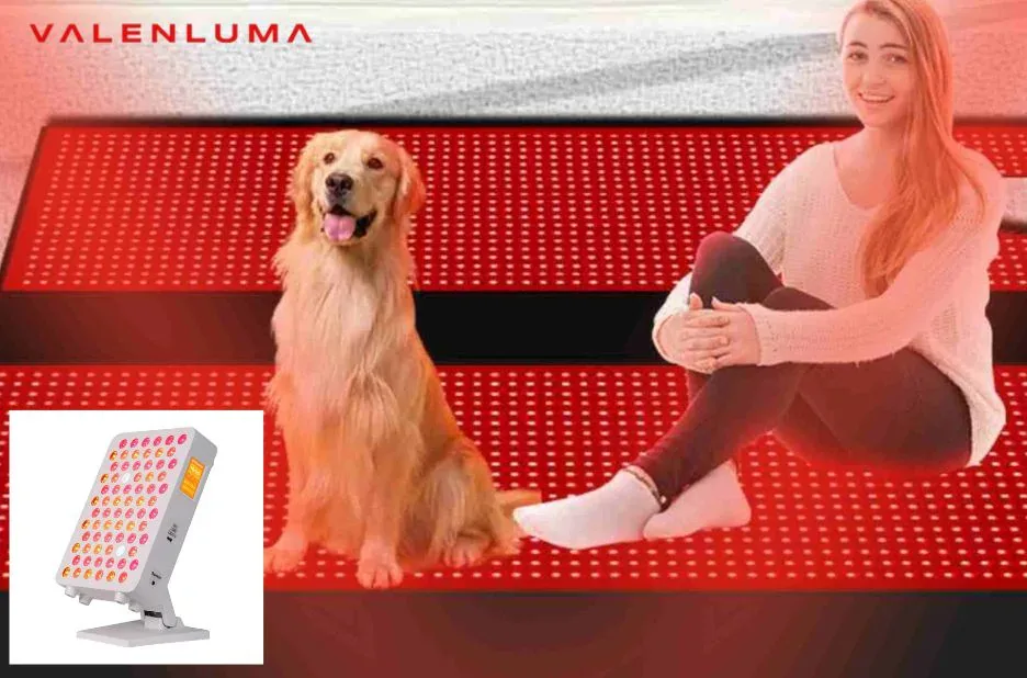 Infrared Red Light Therapy Blanket for Muscle Recovery and Wellness at Home Infrared Red Light Therapy Blanket for Muscle Recovery and Wellness at Home