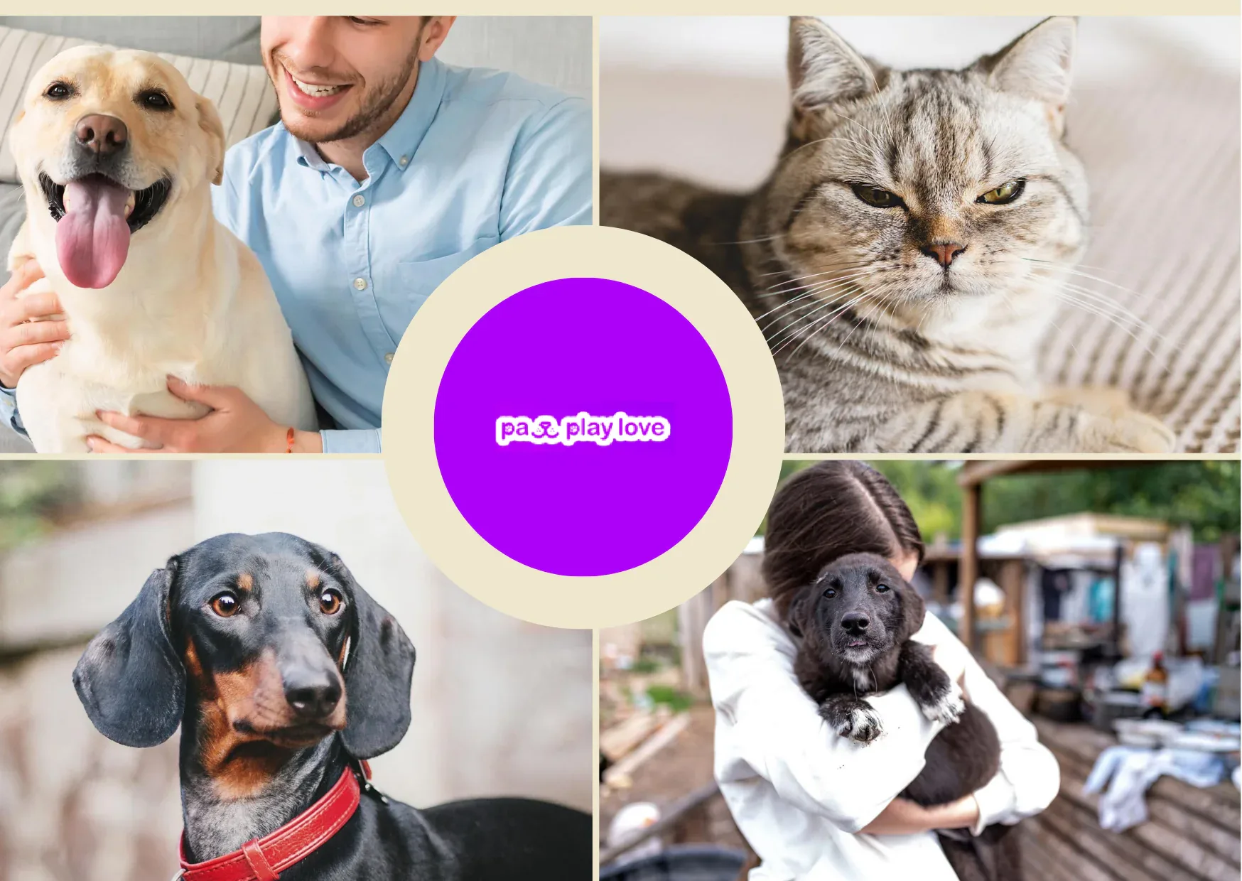 Find a Friend for My Dog – Connect with Local Dog Owners Today Find a Friend for My Dog – Connect with Local Dog Owners Today