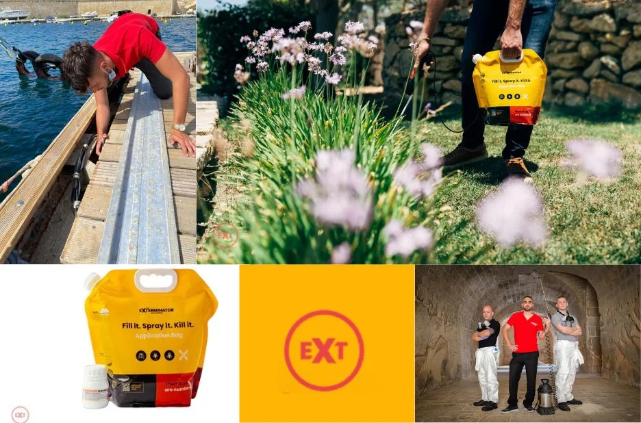 Effective Commercial Pest Control Malta Solutions for Your Business Success Effective Commercial Pest Control Malta Solutions for Your Business Success