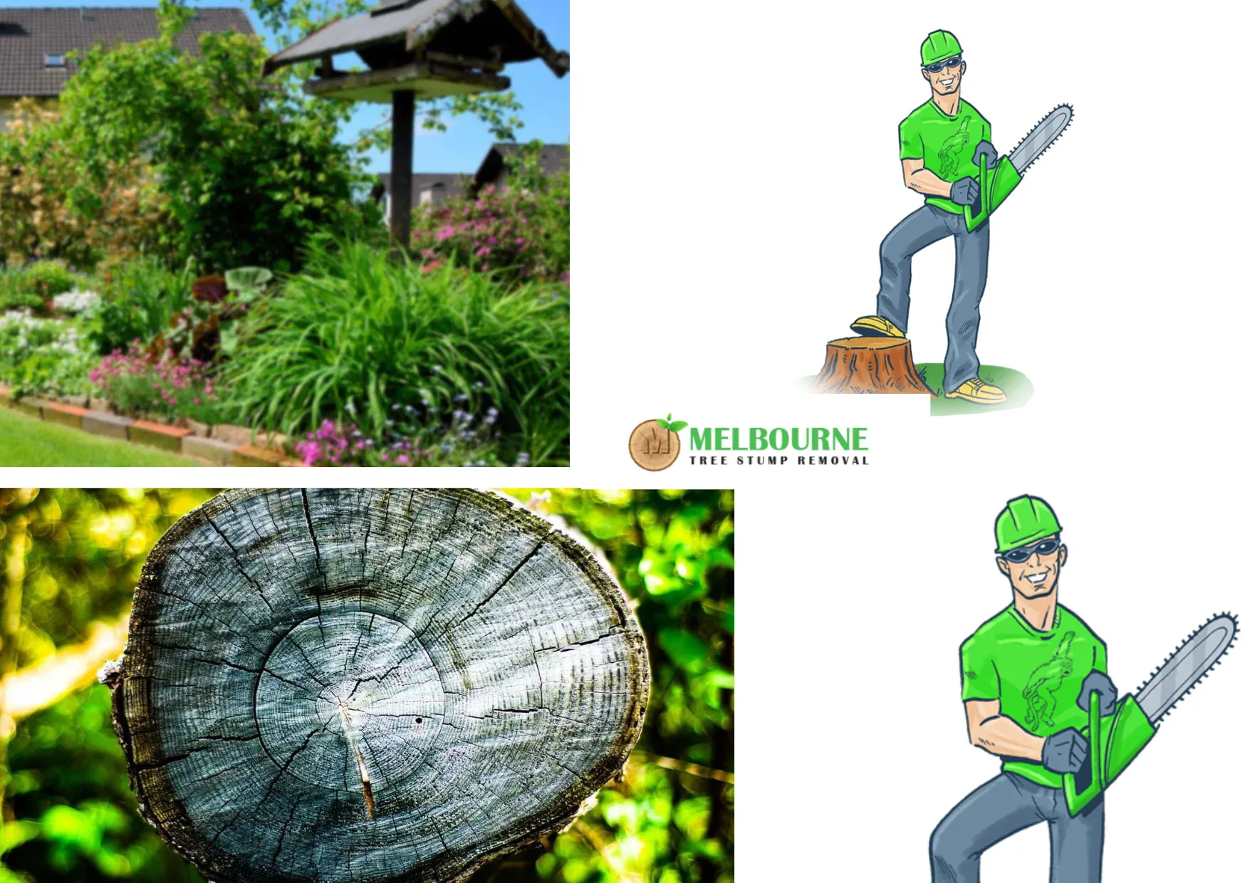 Professional Stump Removal Melbourne Services for Residential and Commercial Properties Professional Stump Removal Melbourne Services for Residential and Commercial Properties