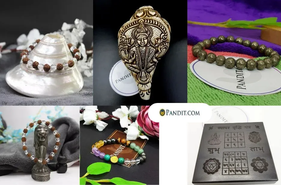 Comparing Authentic Sources for Original 2 Mukhi Rudraksha in India: Quality and Benefits Explained Comparing Authentic Sources for Original 2 Mukhi Rudraksha in India: Quality and Benefits Explained