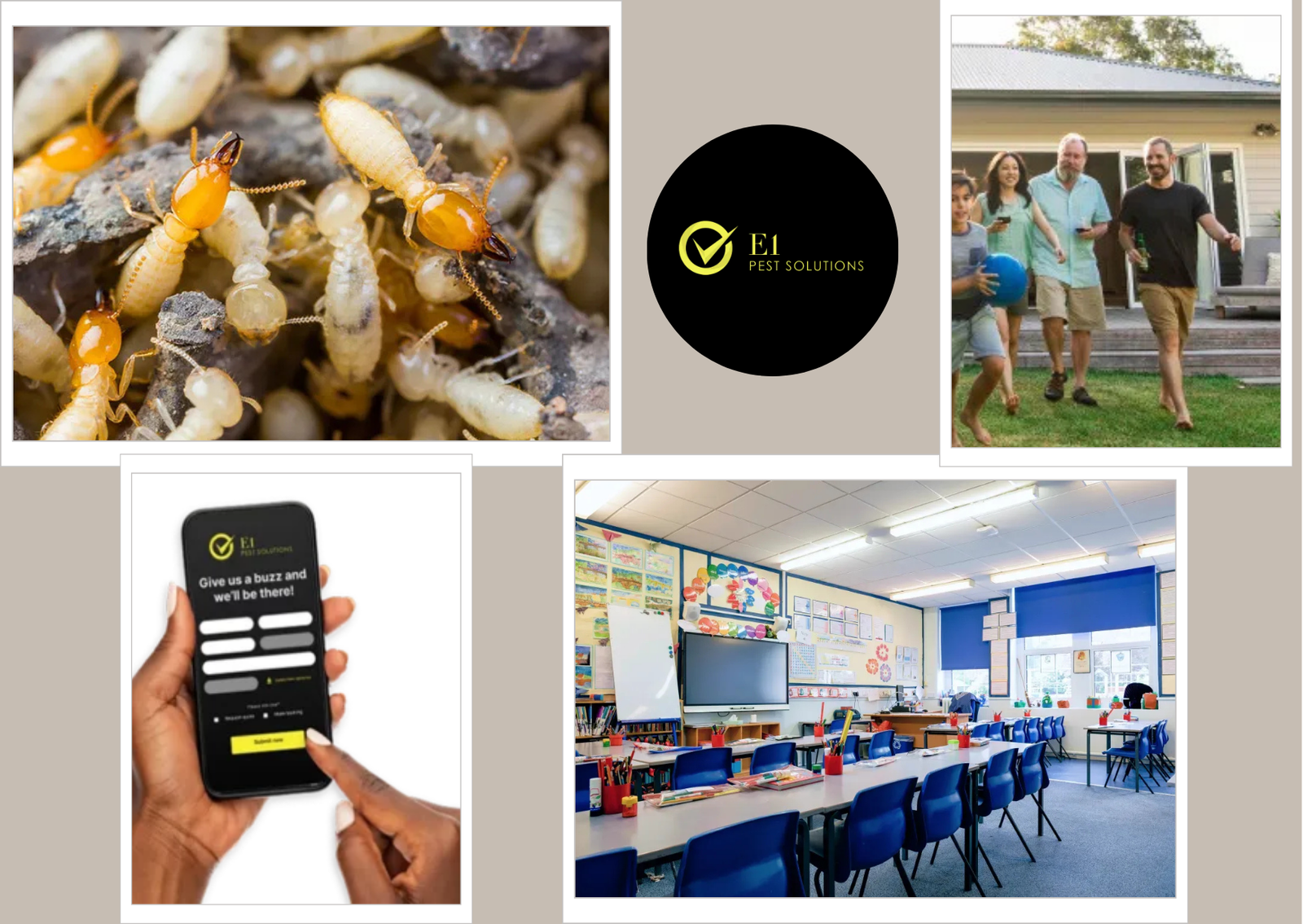 Ant Control Sydney Cost: Expert Recommendations from E1 Pest Solutions for Ants Ant Control Sydney Cost: Expert Recommendations from E1 Pest Solutions for Ants