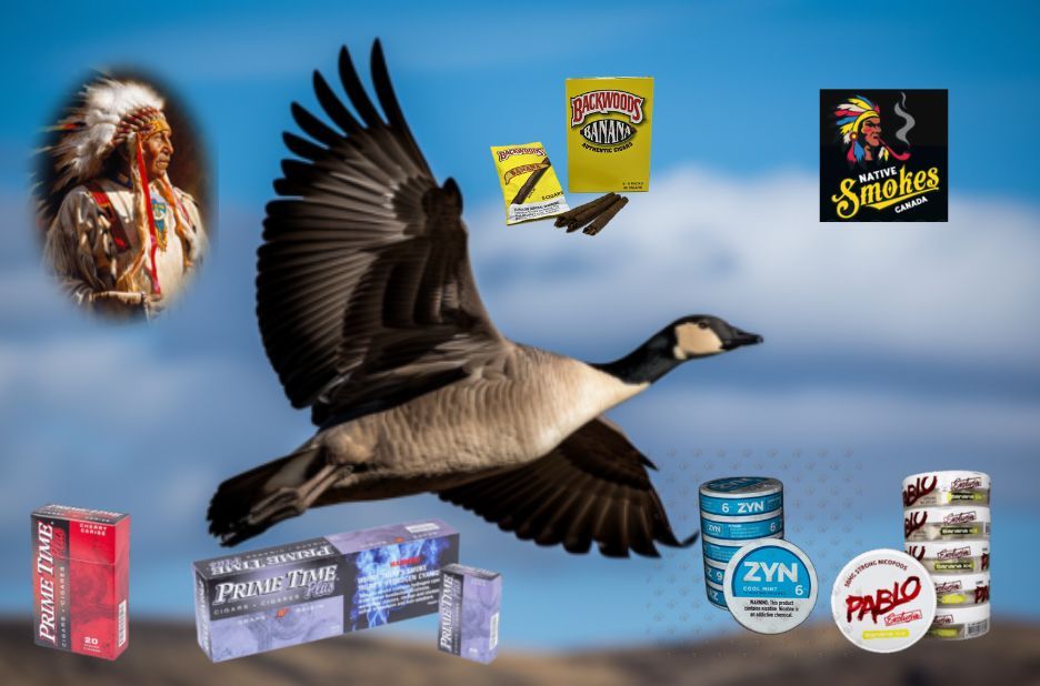 Canadian Native Cigarette Brands Checklist: Compare Products and Shop Confidently Canadian Native Cigarette Brands Checklist: Compare Products and Shop Confidently