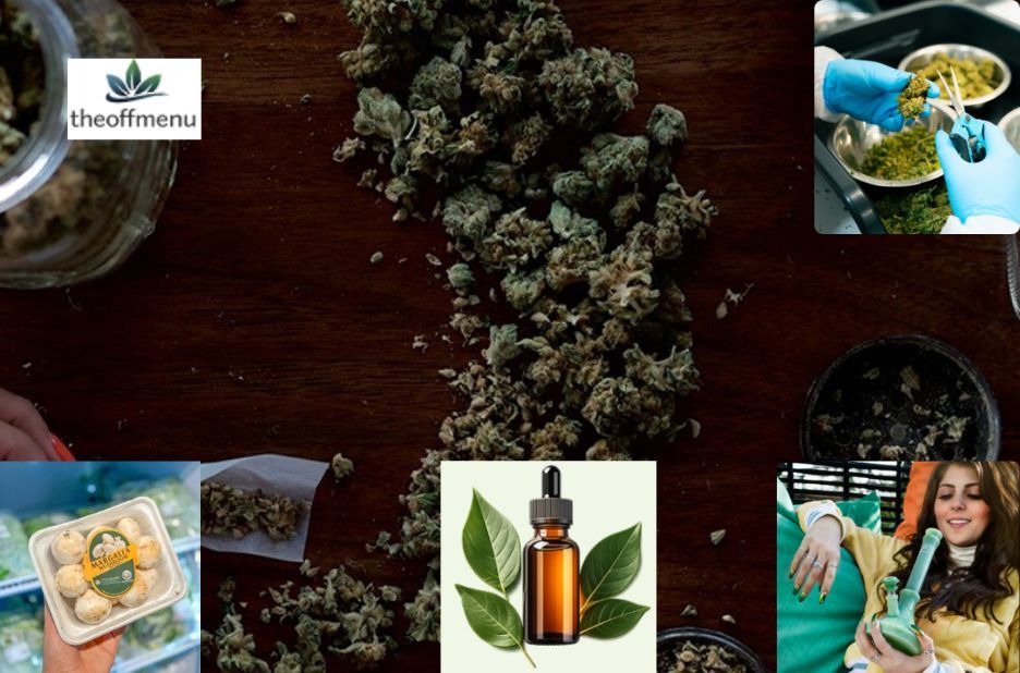 Curated Edible Wellness Products in Canada You Can Shop Online Curated Edible Wellness Products in Canada You Can Shop Online