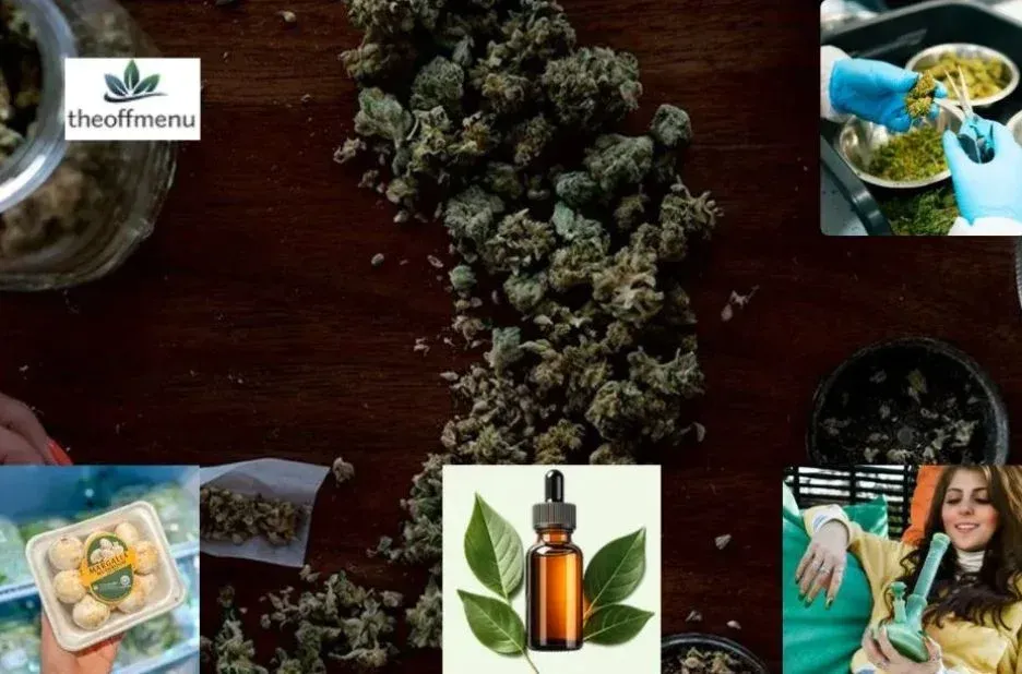 Cannabis Edibles Canada Buyer Checklist for Safe, Reliable Marketplace Picks Cannabis Edibles Canada Buyer Checklist for Safe, Reliable Marketplace Picks