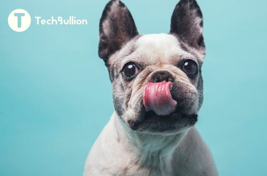 How Technology Is Advancing Rescue French Bulldogs: A Practical Guide How Technology Is Advancing Rescue French Bulldogs: A Practical Guide
