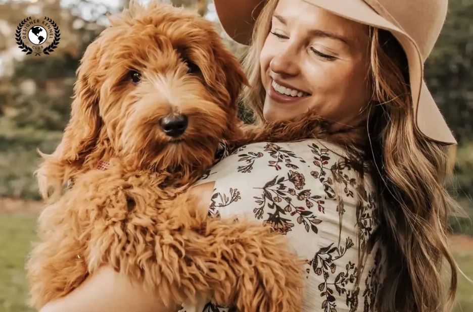 How to Get Official Papers for Your Dog Through Designer Kennel Club How to Get Official Papers for Your Dog Through Designer Kennel Club