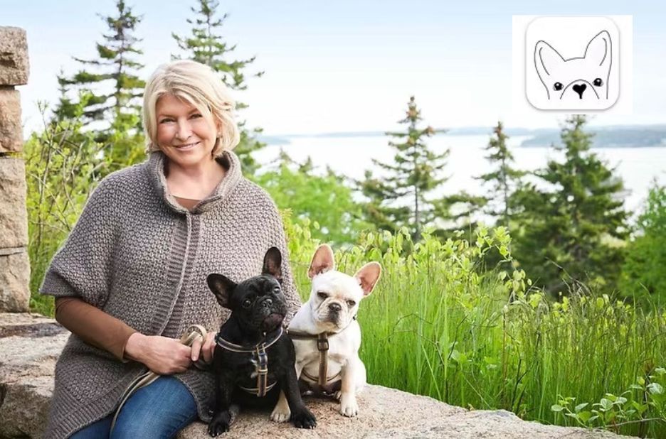 Guest Post Checklist: How to Get Papers for a Dog Without Papers Guest Post Checklist: How to Get Papers for a Dog Without Papers