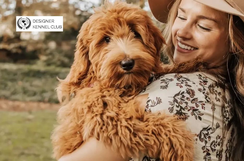 Practical Guide to Getting Dog Registration Papers Without Prior Documentation Practical Guide to Getting Dog Registration Papers Without Prior Documentation