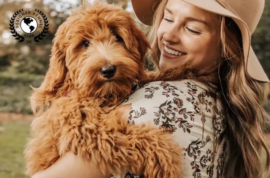 Find Your Springered Companion: Registration Made Simple Find Your Springered Companion: Registration Made Simple