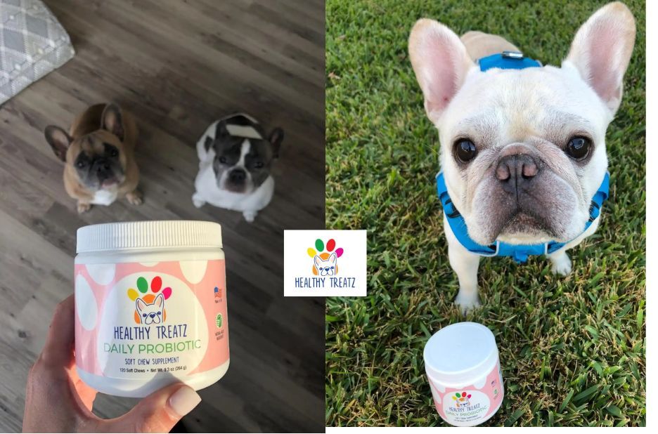 Local Pet Care Guide: Hemp Plus Glucosamine Support Local Pet Care Guide: Hemp Plus Glucosamine Support