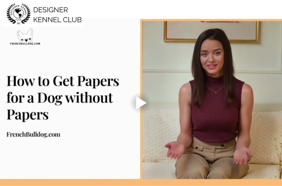 How to Get Dog Papers Without AKC Registration Options How to Get Dog Papers Without AKC Registration Options